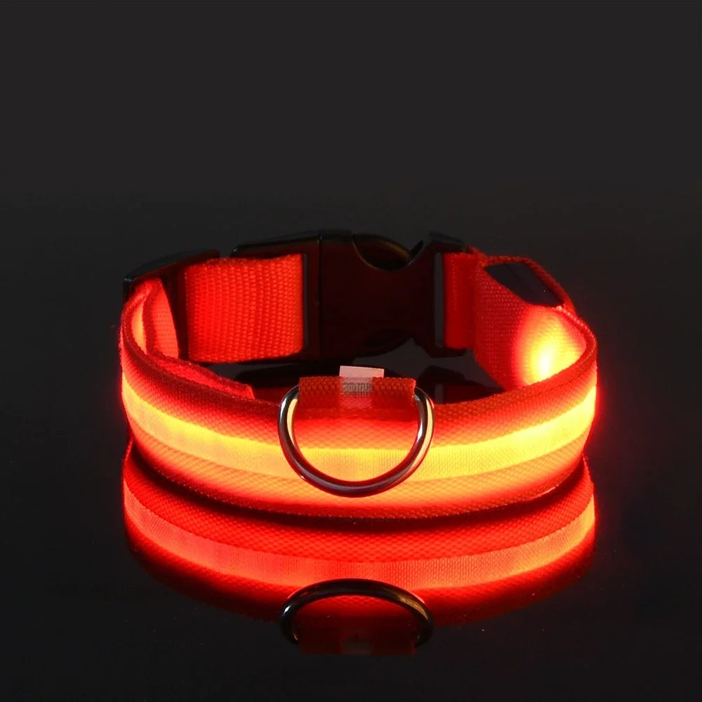 Dog Collar Nylon LED Night Safety Flashing Glow In The Dark Pet Dog Leash pet Dogs Luminous Fluorescent  dog accessories collar