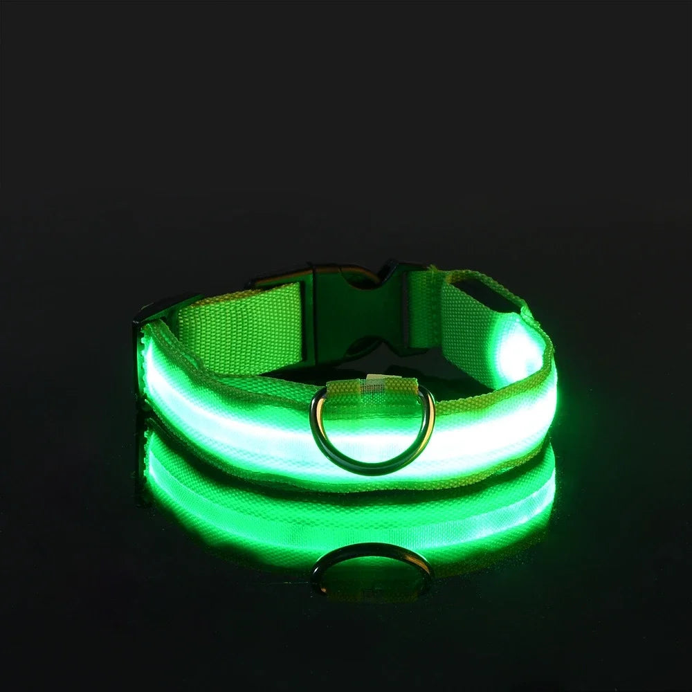 Dog Collar Nylon LED Night Safety Flashing Glow In The Dark Pet Dog Leash pet Dogs Luminous Fluorescent  dog accessories collar